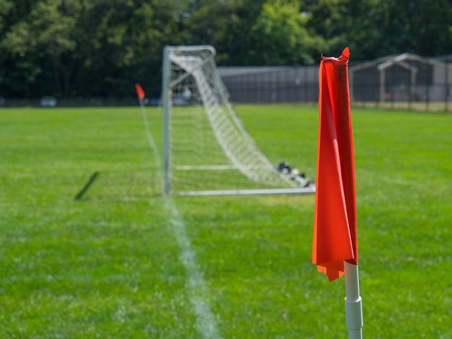 内部在是否 内部在是否