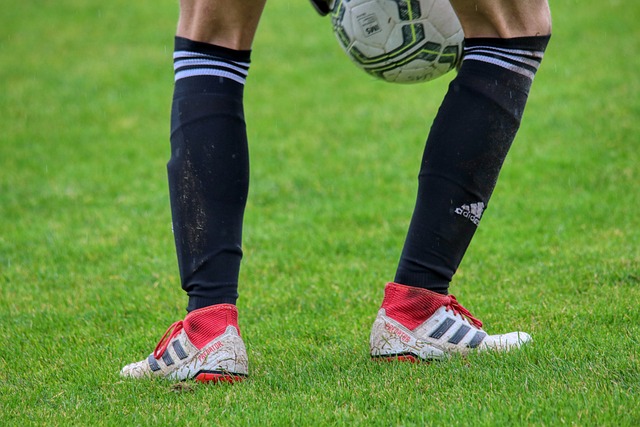 高的篮球智 高的篮球智