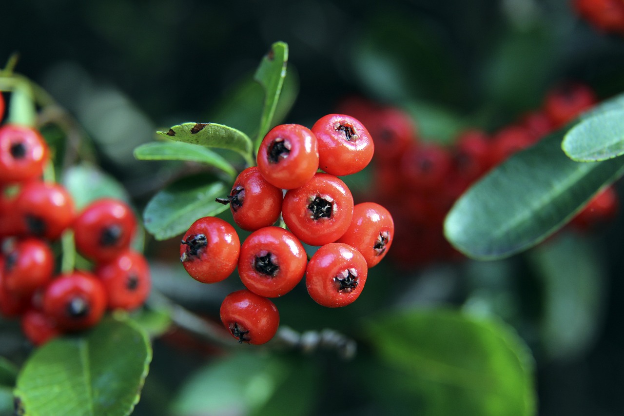 正是亚冬会 正是亚冬会