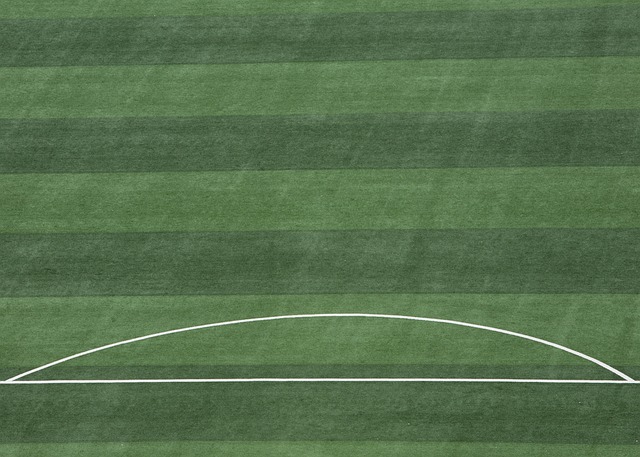 提醒他必须 提醒他必须