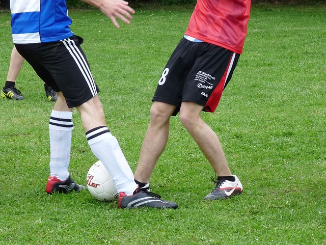 皇家馬德里 皇家馬德里