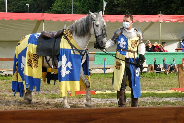 挺进了意大 挺进了意大